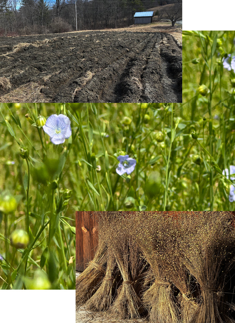 Talk on farming flax SATURDAY, APRIL 11  2PM - 4PM
