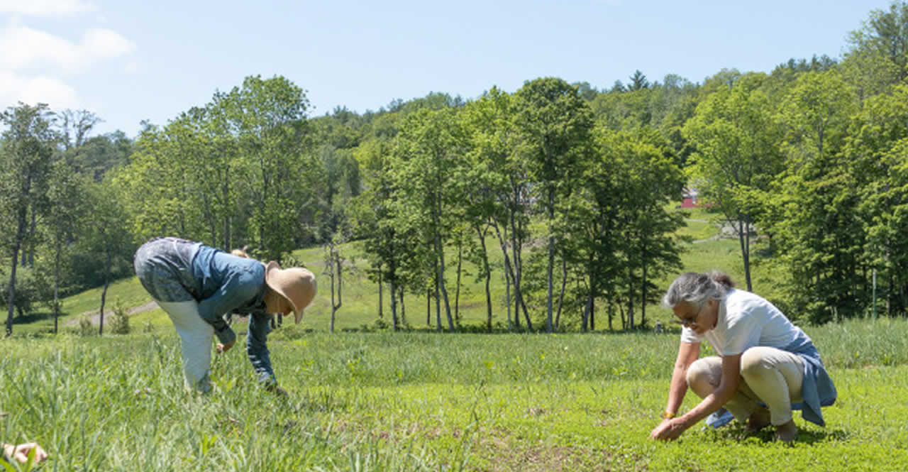 Green Mountain Linen