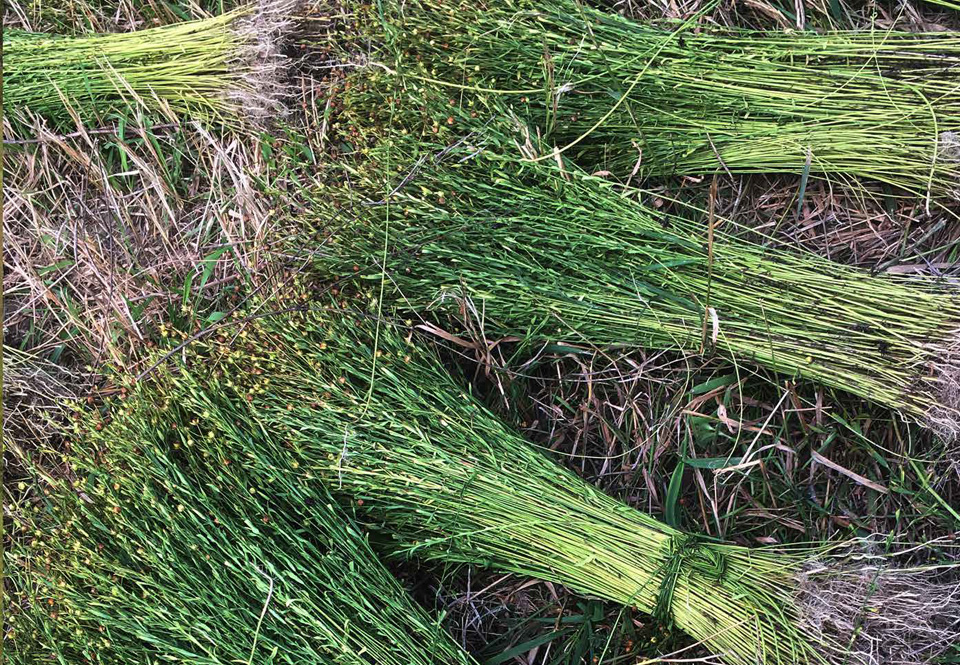 Green Mountain Linen