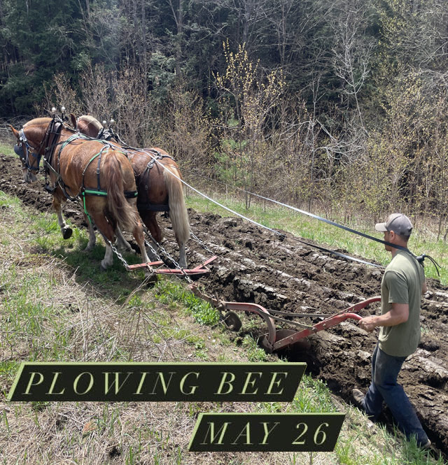 Plowing Bee - Monday, May 26th 10am-finished 